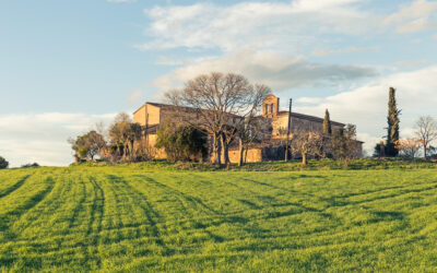 Maison mas : De bâtiment agricole à bâtisse